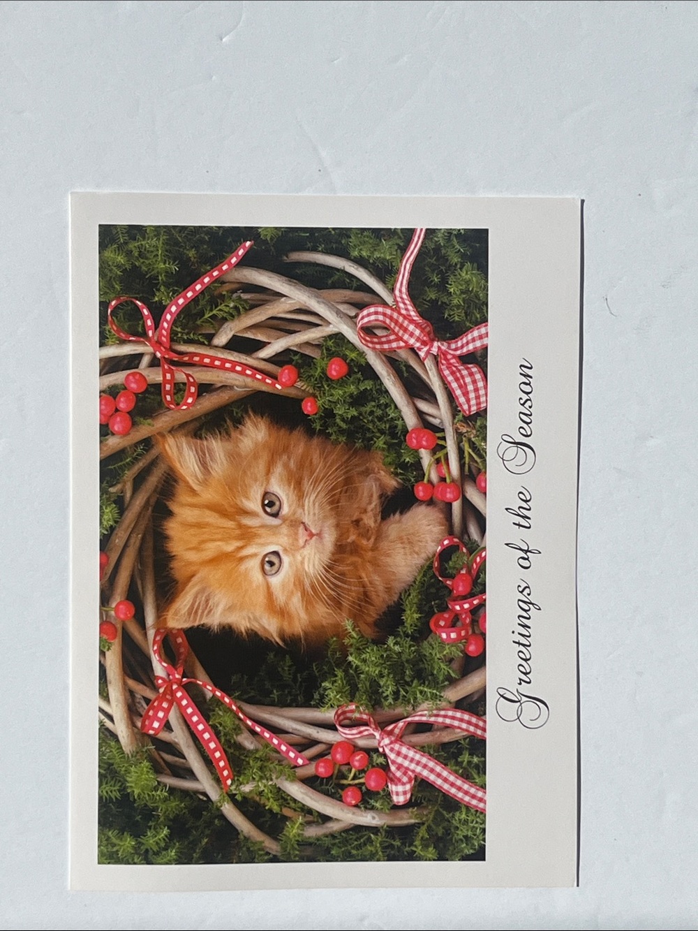 Kitten Christmas Card - Picture 4 of 9